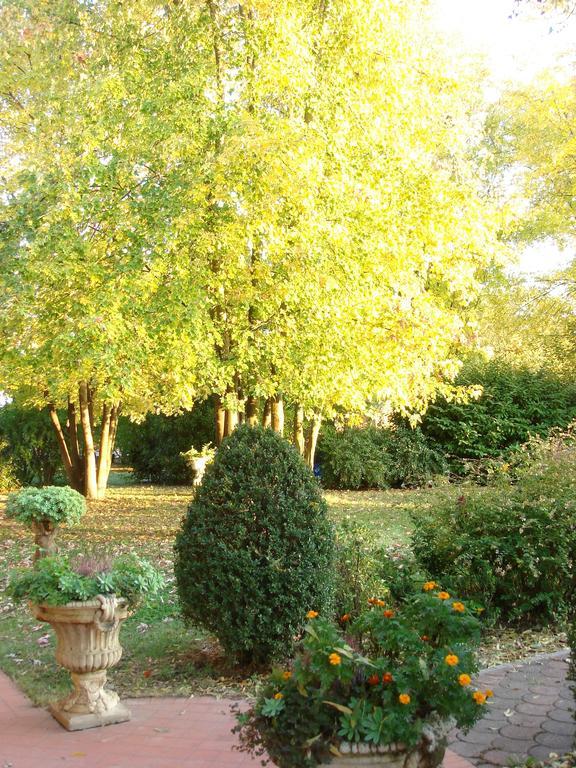 La Corte Del Cavaliere Bed & Breakfast Calderara di Reno Extérieur photo